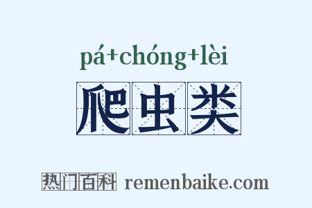 爬虫类是什么意思的图片